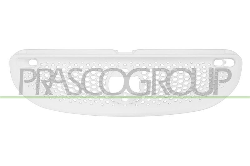Radiator Grille