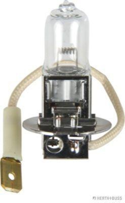 HERTH+BUSS ELPARTS Glühlampe, Fernscheinwerfer 89901053