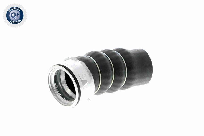 VAICO Ladeluftschlauch Q+, Erstausr&uuml;sterqualit&auml;t V20-1621