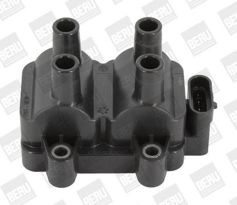 BorgWarner (BERU) Ignition Coil