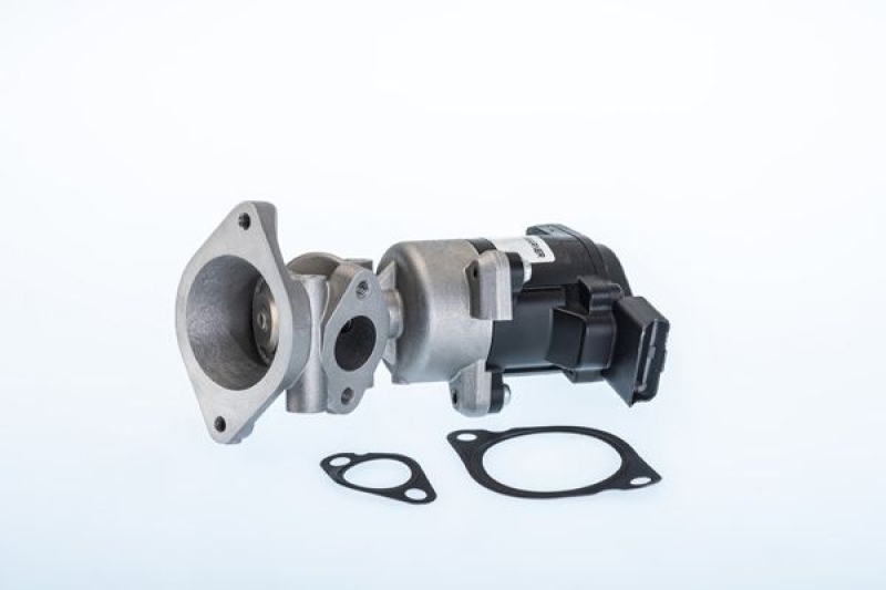 BorgWarner (Wahler) AGR-Ventil