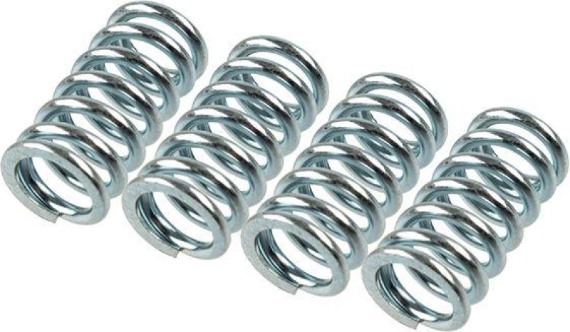 TRW Clutch Spring Set