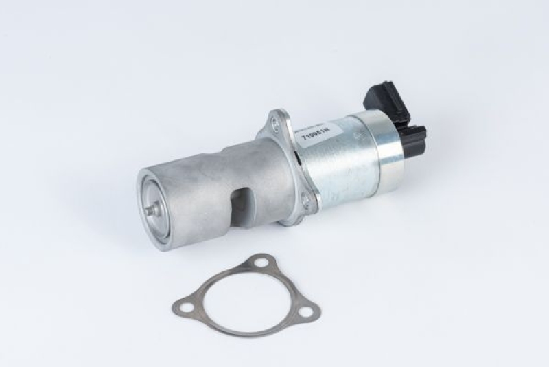 BorgWarner (Wahler) AGR-Ventil