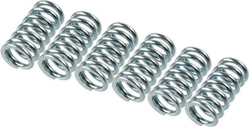 TRW Clutch Spring Set