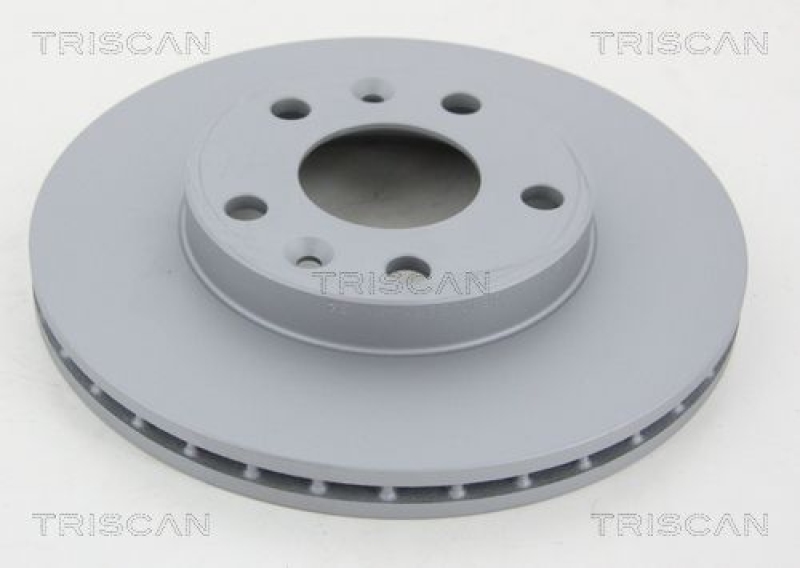 2x TRISCAN Brake Disc COATED