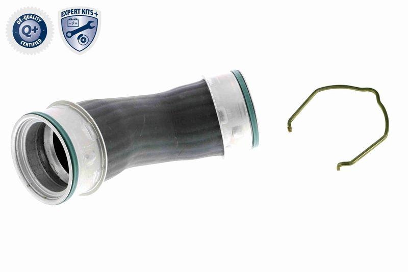 VAICO Charger Air Hose EXPERT KITS +