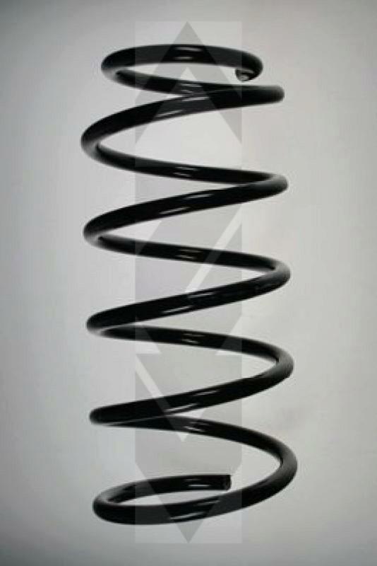 SPIDAN Suspension Spring