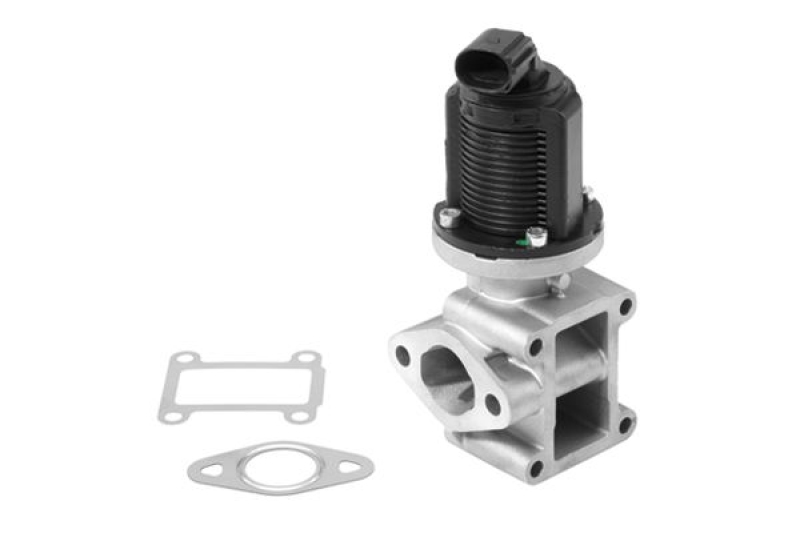 BorgWarner (Wahler) AGR-Ventil