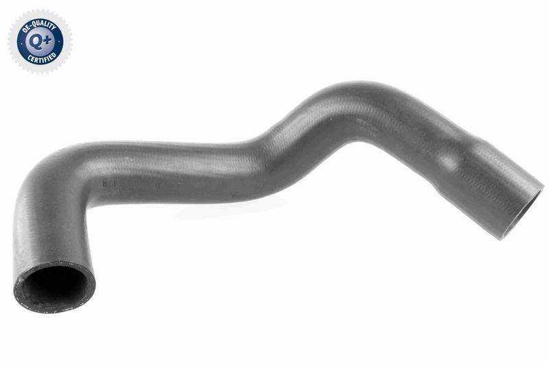 VAICO K&uuml;hlerschlauch Q+, Erstausr&uuml;sterqualit&auml;t V25-1125