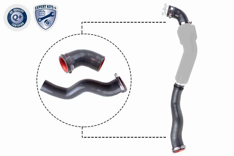 VAICO Charger Air Hose EXPERT KITS +