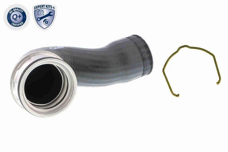 VAICO Ladeluftschlauch EXPERT KITS +