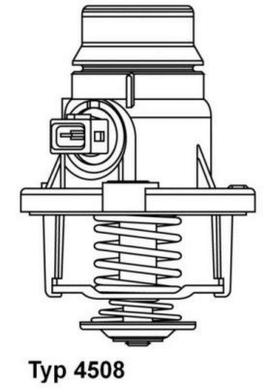 BorgWarner (Wahler) Thermostat für Kühlmittel / Kühlerthermostat