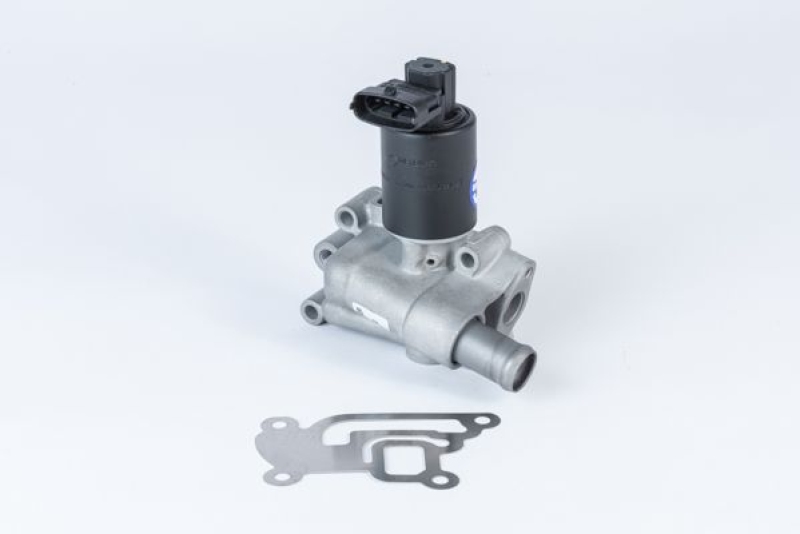 BorgWarner (Wahler) AGR-Ventil 710955R