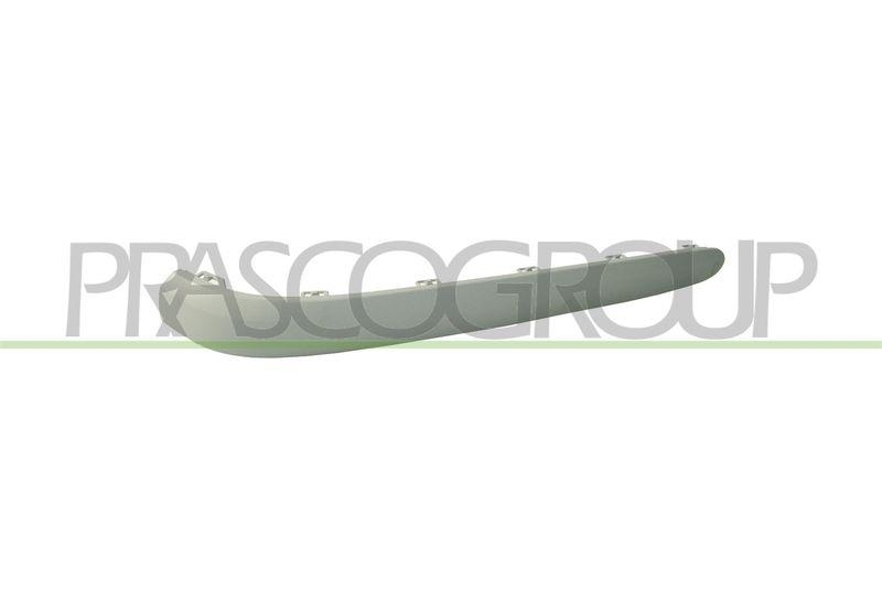 Trim/Protective Strip, bumper