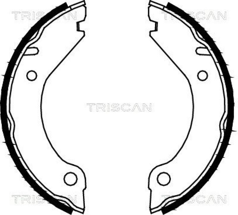 TRISCAN Brake Shoe Set, parking brake