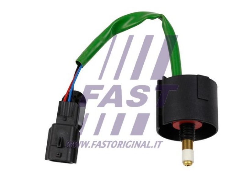 FAST Wassersensor, Kraftstoffanlage