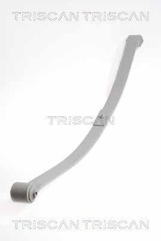 TRISCAN Blattfeder