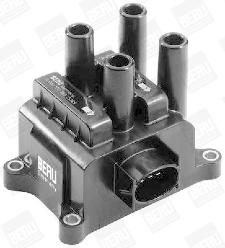 BorgWarner (BERU) Ignition Coil