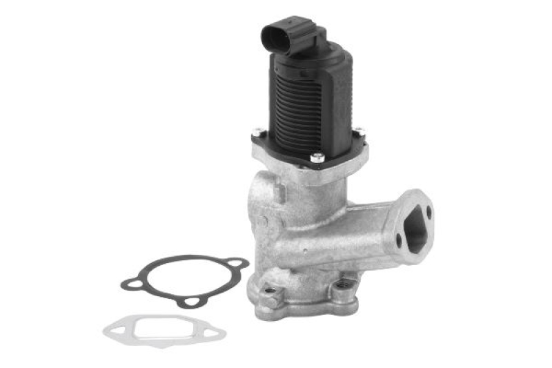 BorgWarner (Wahler) EGR Valve