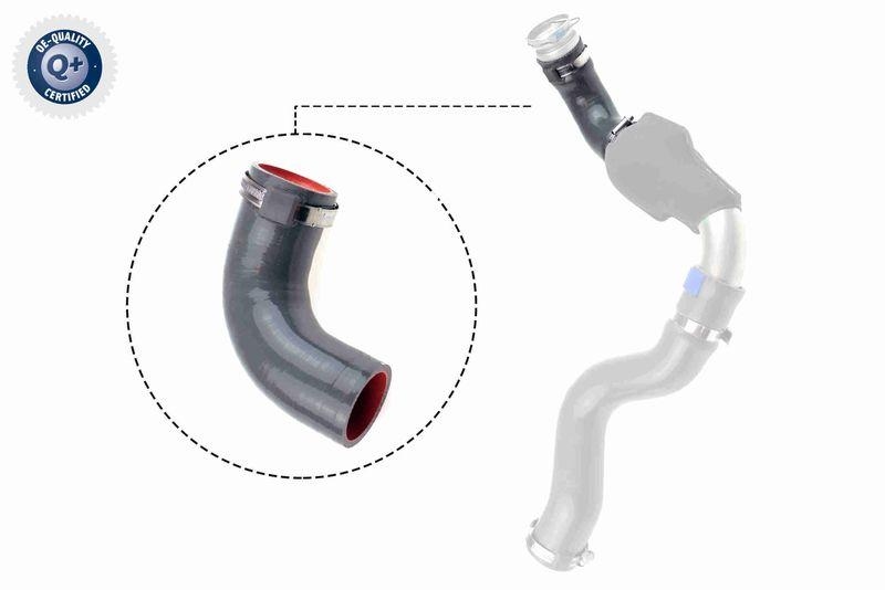 VAICO Charger Air Hose Q+, original equipment manufacturer quality