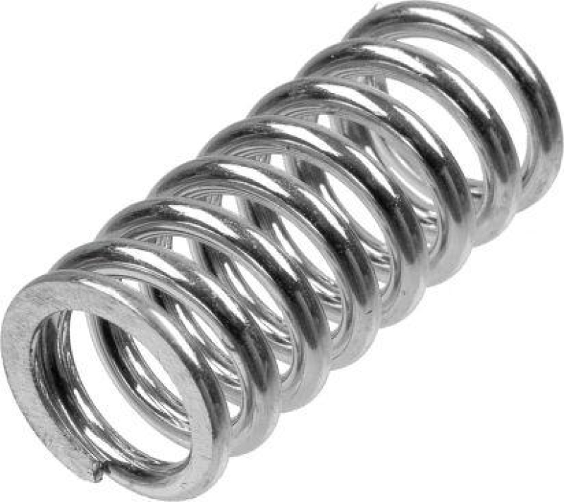 TRW Clutch Spring Set