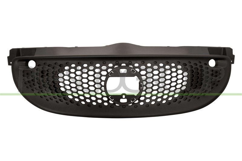 Radiator Grille