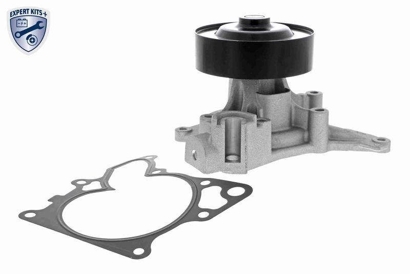 ACKOJA Wasserpumpe, Motork&uuml;hlung EXPERT KITS +