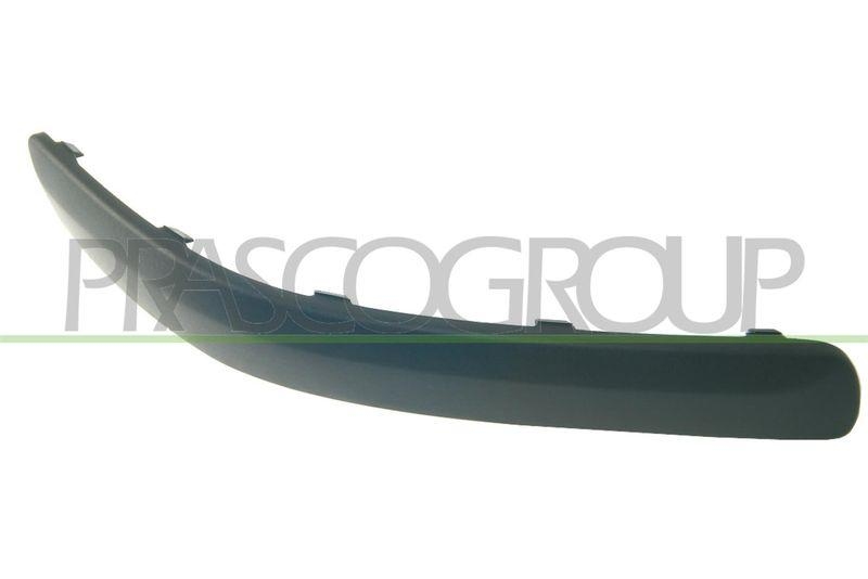 Trim/Protective Strip, bumper