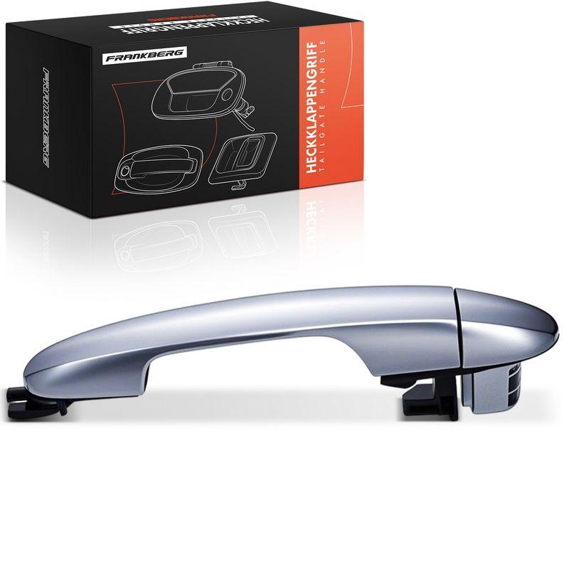 1x Frankberg T&uuml;rgriff Hinten Links au&szlig;en 5481FB0045618