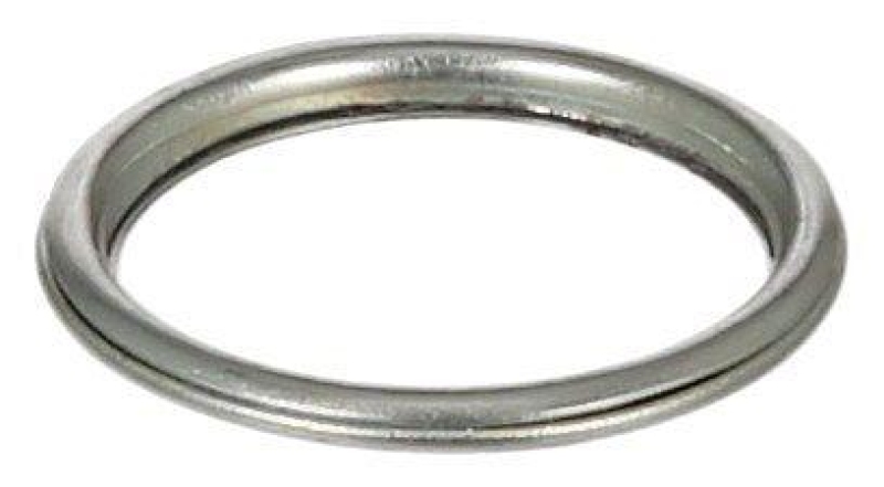 ELRING Dichtring