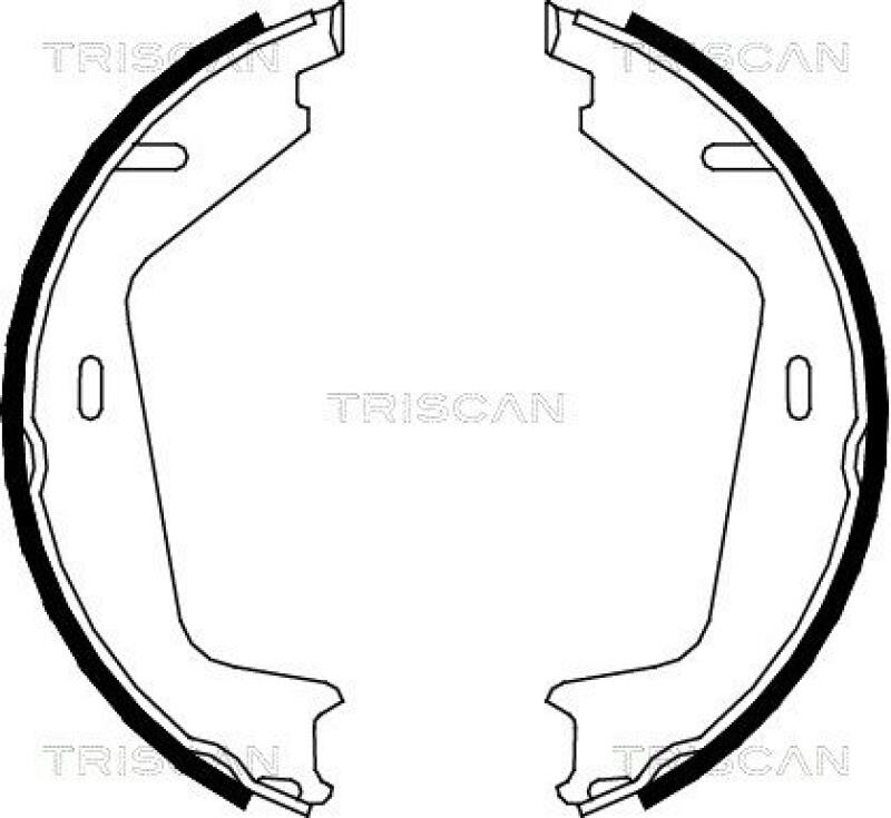 TRISCAN Brake Shoe Set, parking brake