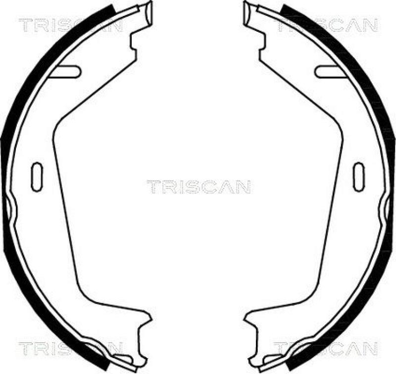 TRISCAN Brake Shoe Set, parking brake