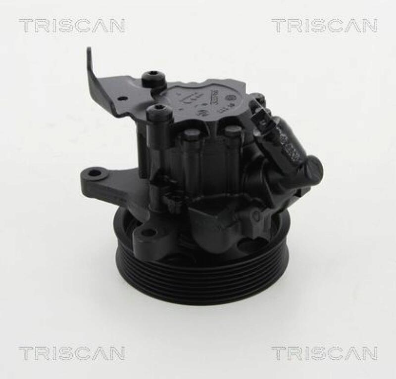 TRISCAN Hydraulic Pump, steering system