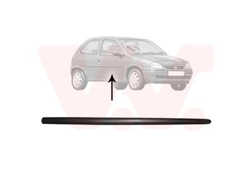 VAN WEZEL Trim/Protective Strip, door