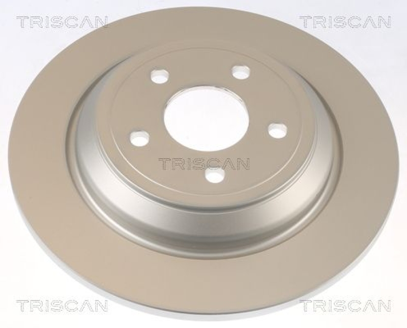 2x TRISCAN Brake Disc