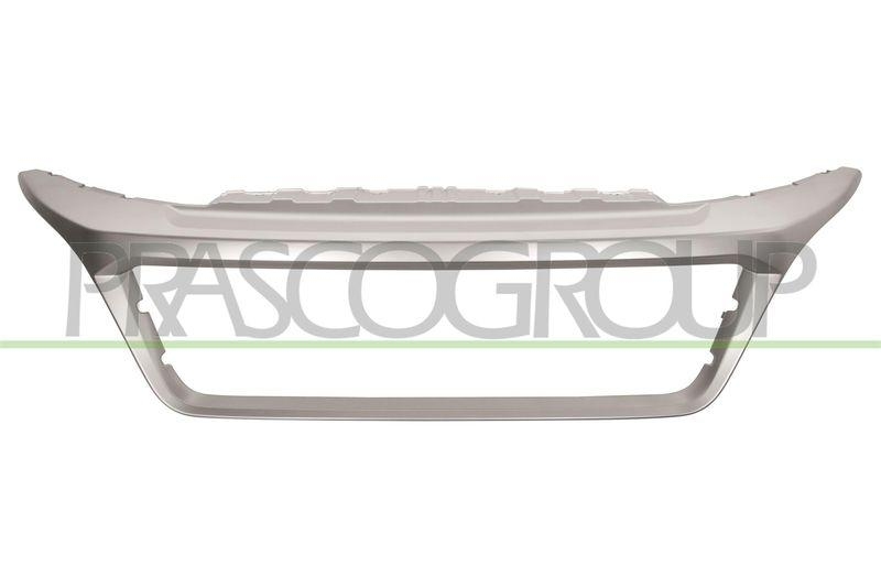Frame, radiator grille