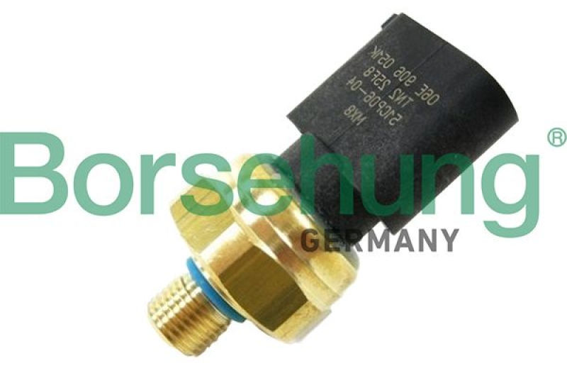 Borsehung Sensor, Kraftstoffdruck