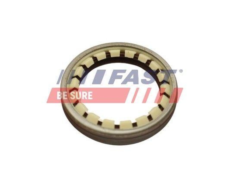 FAST Wellendichtring, Radlager FT49806