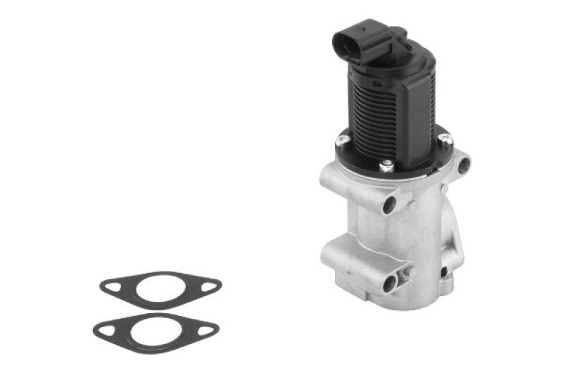 BorgWarner (Wahler) AGR-Ventil 710963R