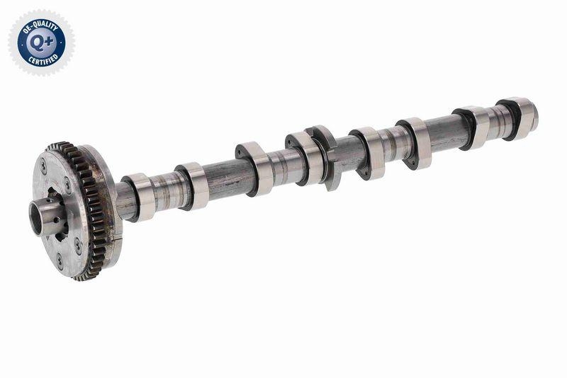 VAICO Camshaft Adjuster Q+, original equipment manufacturer quality