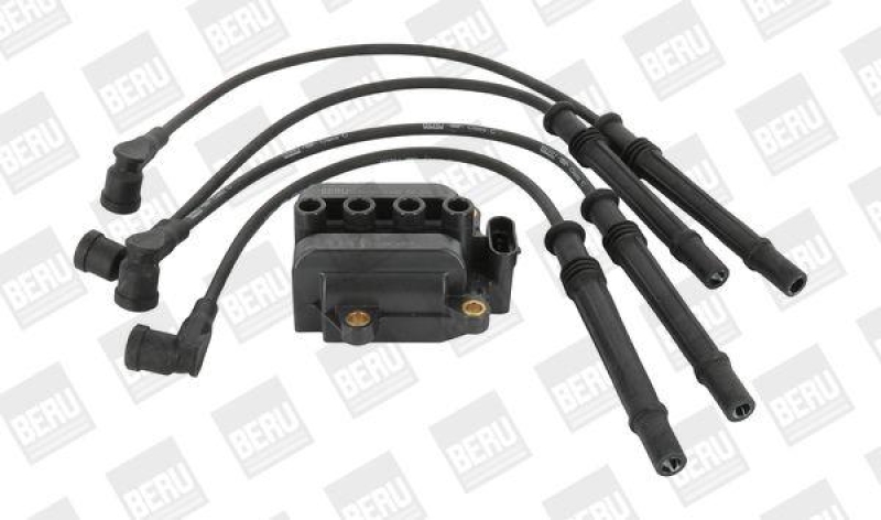 BorgWarner (BERU) Ignition Coil