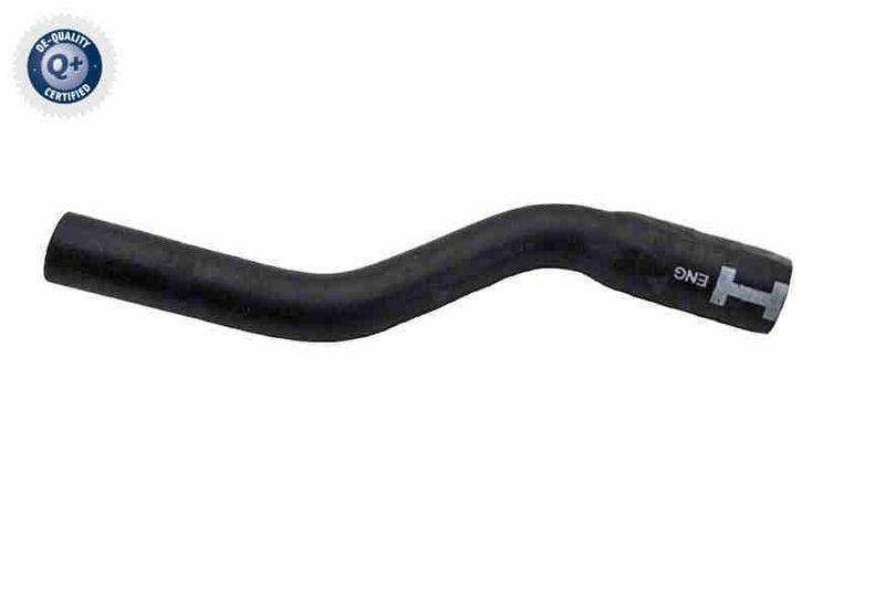 VAICO K&uuml;hlerschlauch Q+, Erstausr&uuml;sterqualit&auml;t V25-2567