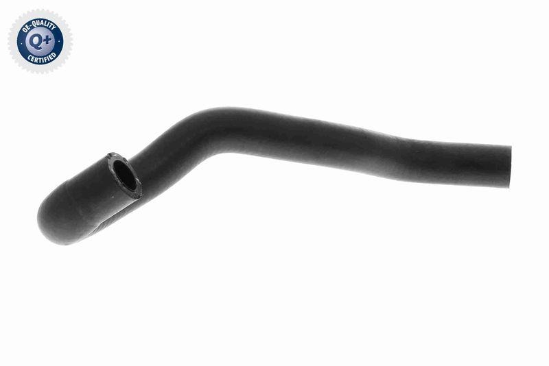 VAICO K&uuml;hlerschlauch Q+, Erstausr&uuml;sterqualit&auml;t V10-5586