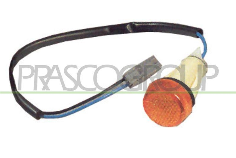 PRASCO Blinkleuchte Blinker FT1214039