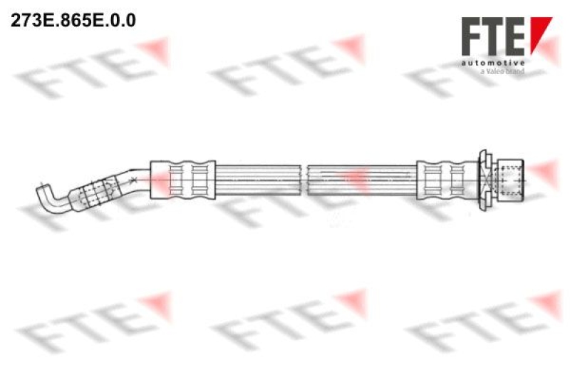 FTE Brake Hose