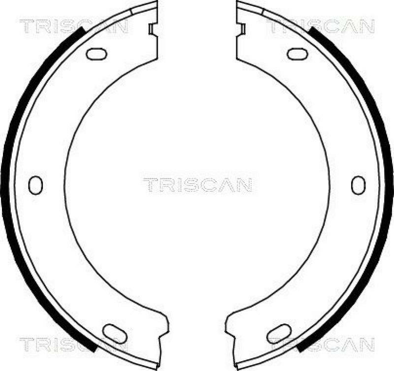 TRISCAN Brake Shoe Set, parking brake