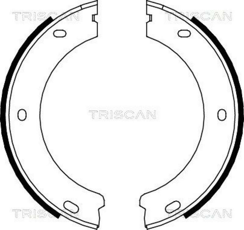 TRISCAN Brake Shoe Set, parking brake