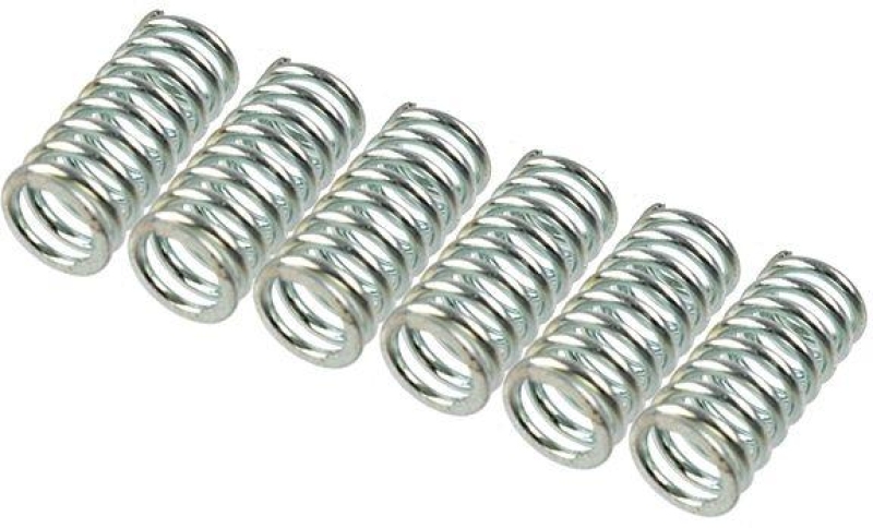 TRW Kupplungsfedernsatz MEF124-6