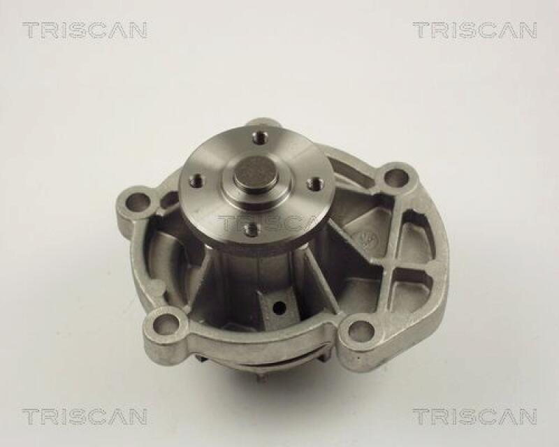 TRISCAN Water Pump