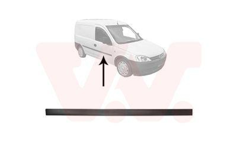VAN WEZEL Trim/Protective Strip, door
